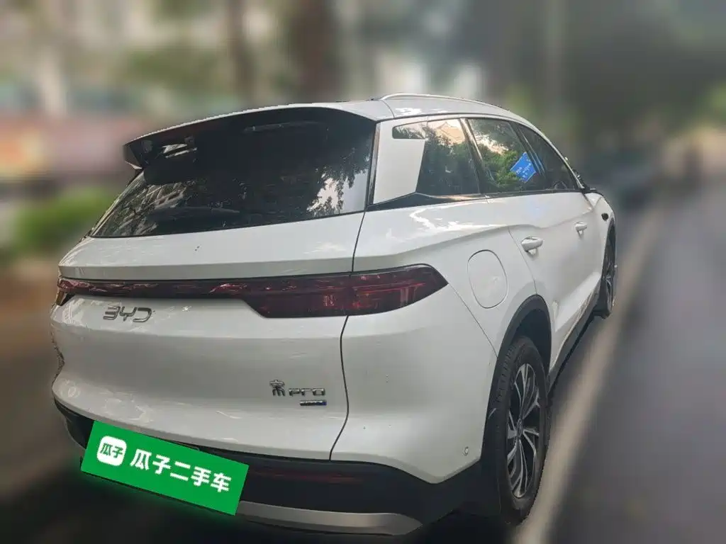BYD Pro New Energy — фото 4
