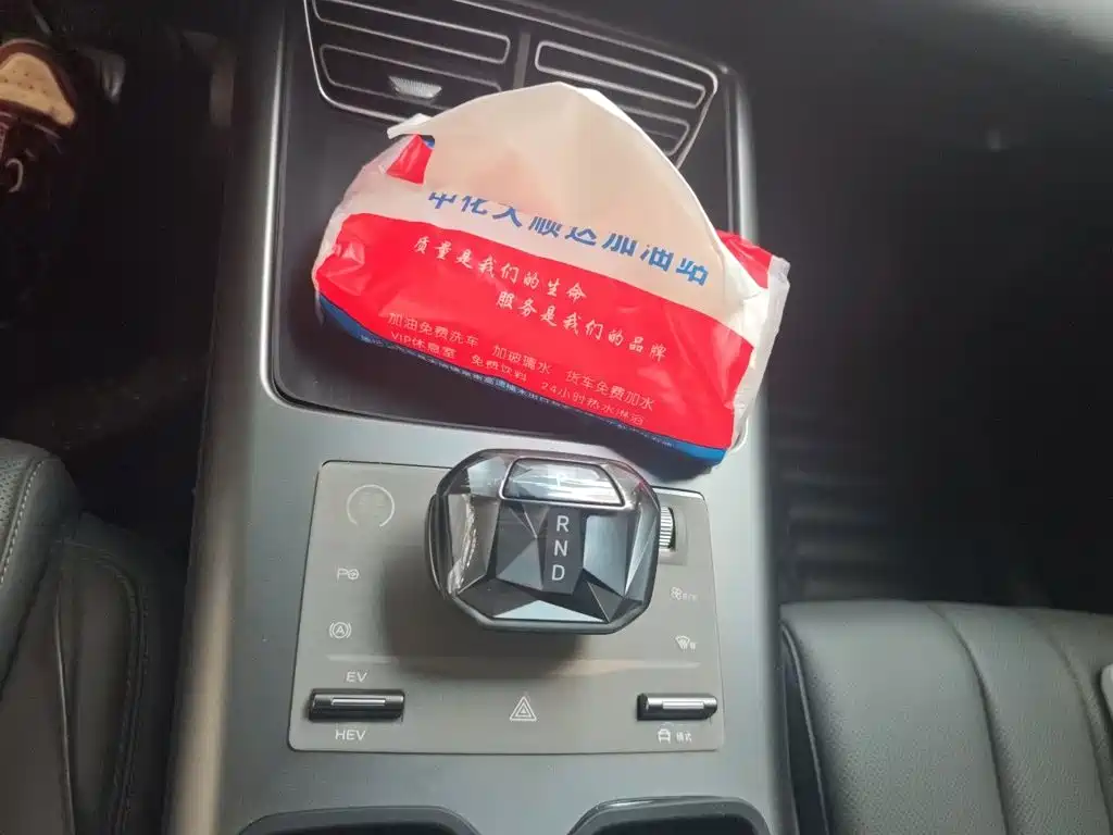 BYD Pro New Energy — фото 10