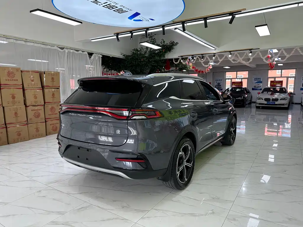BYD Tang New Energy — фото 4