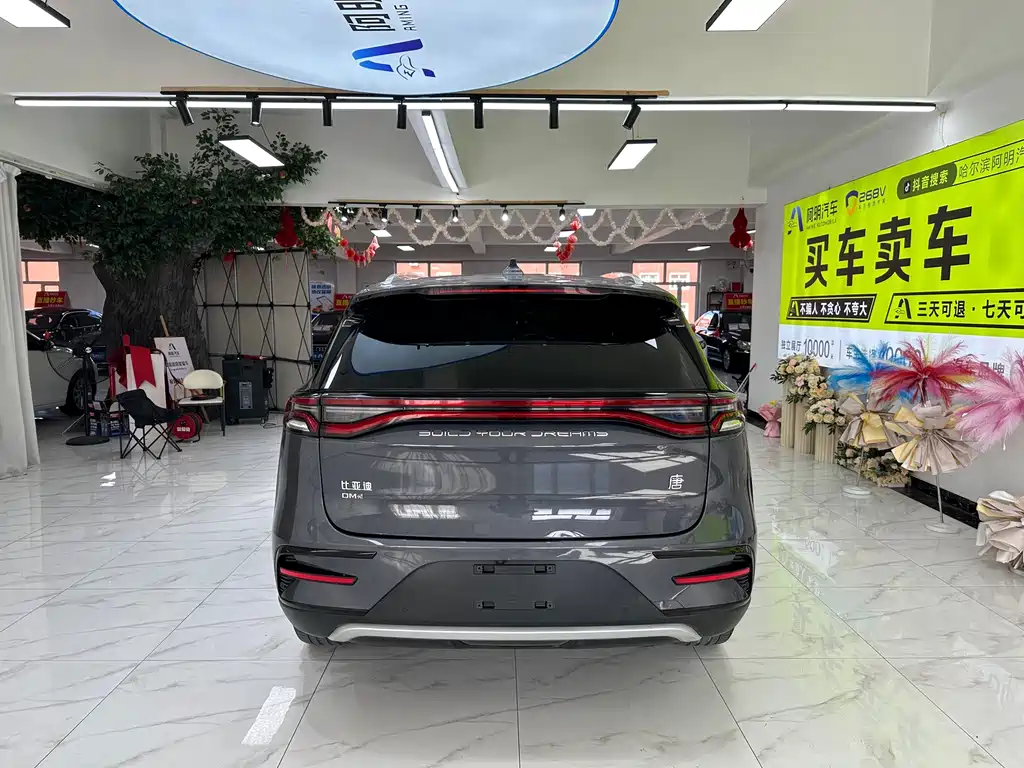 BYD Tang New Energy — фото 5