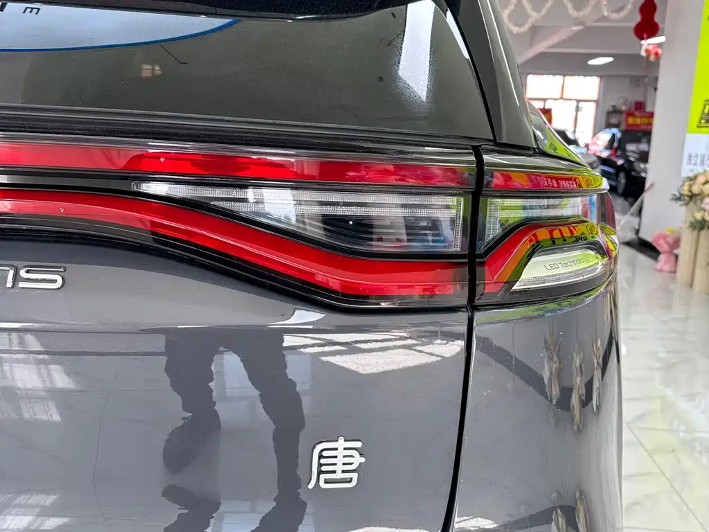 BYD Tang New Energy — фото 8