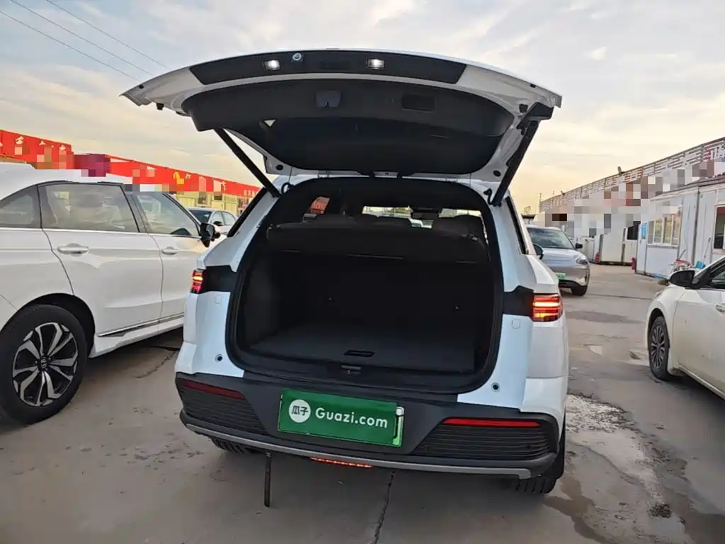 BYD Pro New Energy — фото 19