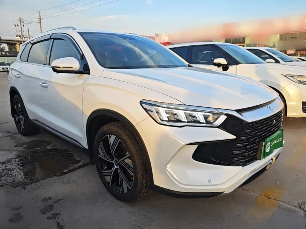 BYD Pro New Energy — фото 4