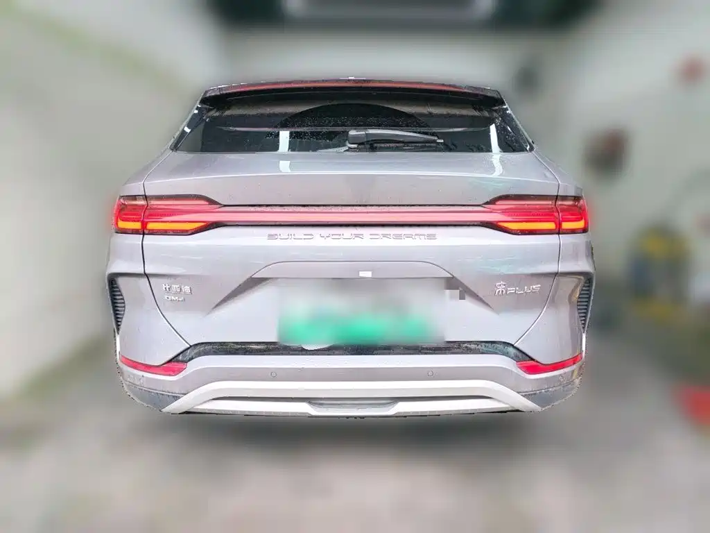 BYD PLUS New Energy — фото 3