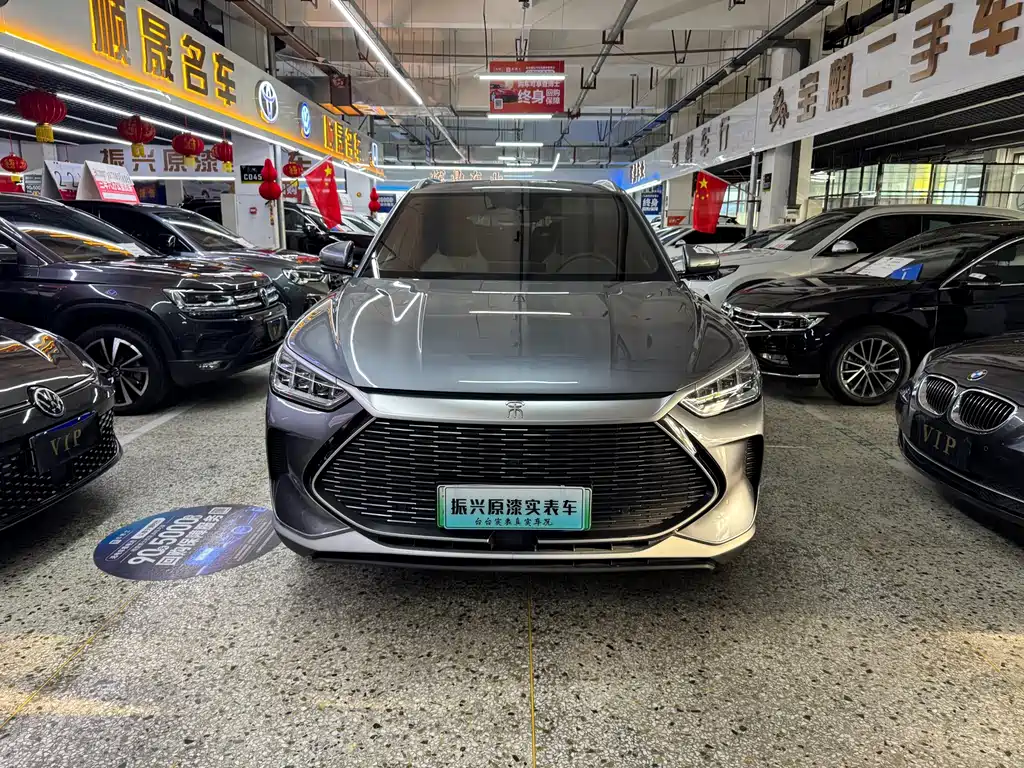 BYD PLUS New Energy — фото 2