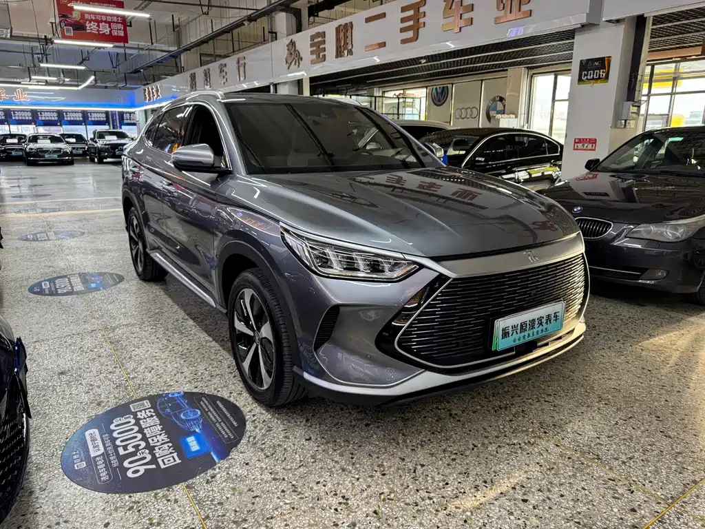 BYD PLUS New Energy — фото 3
