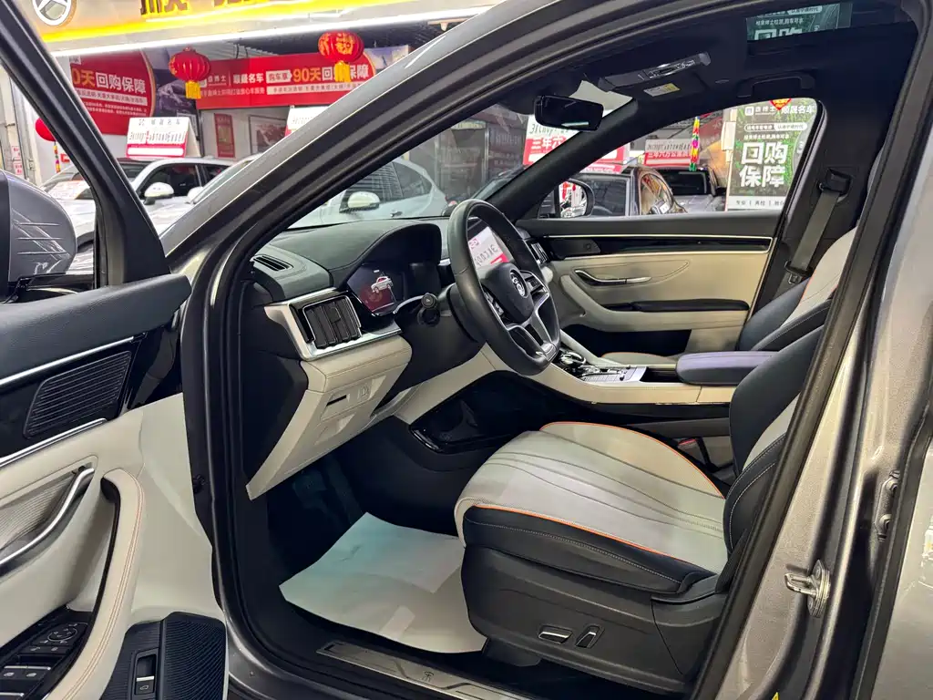 BYD PLUS New Energy — фото 4