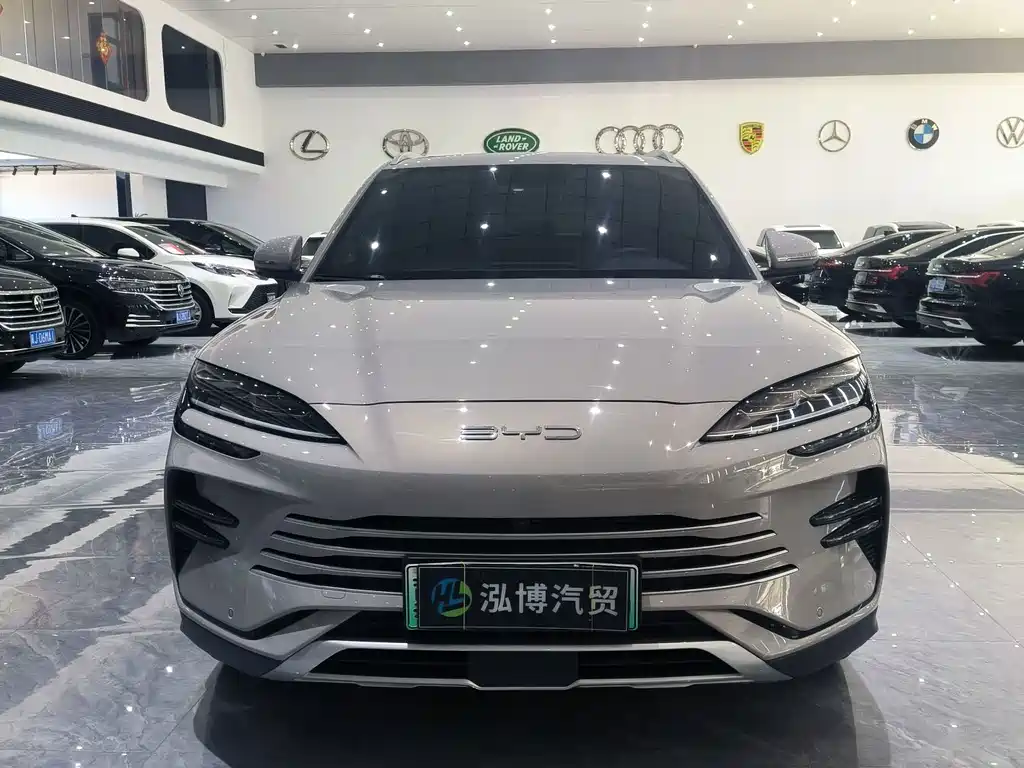 BYD PLUS New Energy — фото 2
