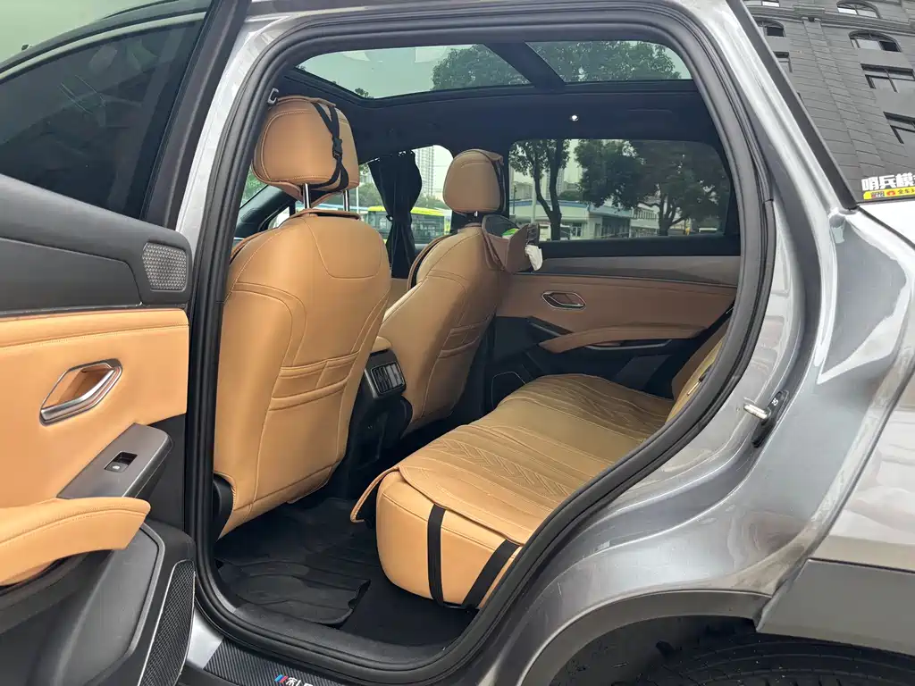 BYD L DM-i — фото 9