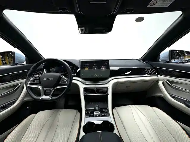 BYD PLUS New Energy — фото 4