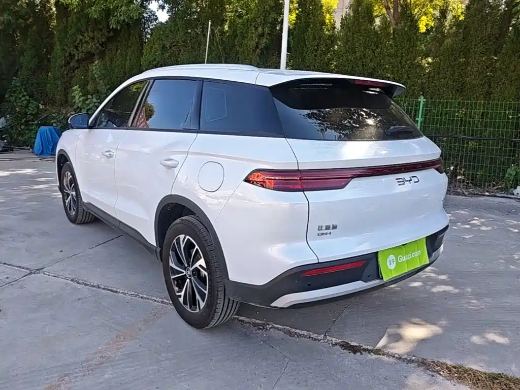 BYD Pro New Energy — фото 5