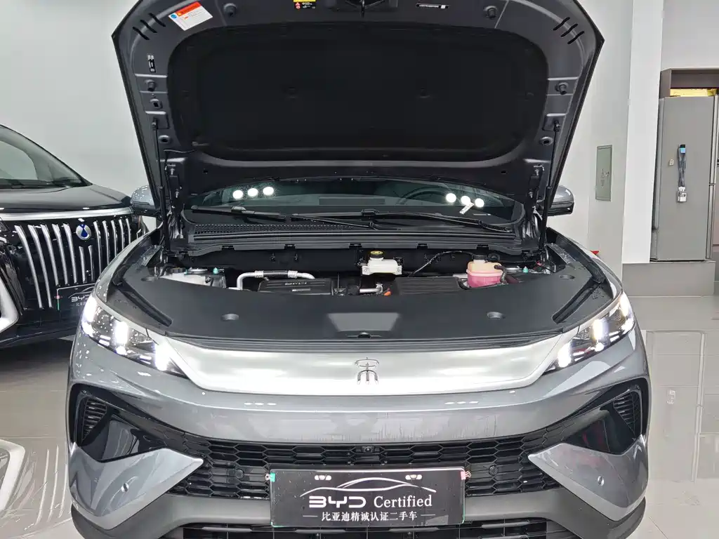 BYD Pro New Energy — фото 2