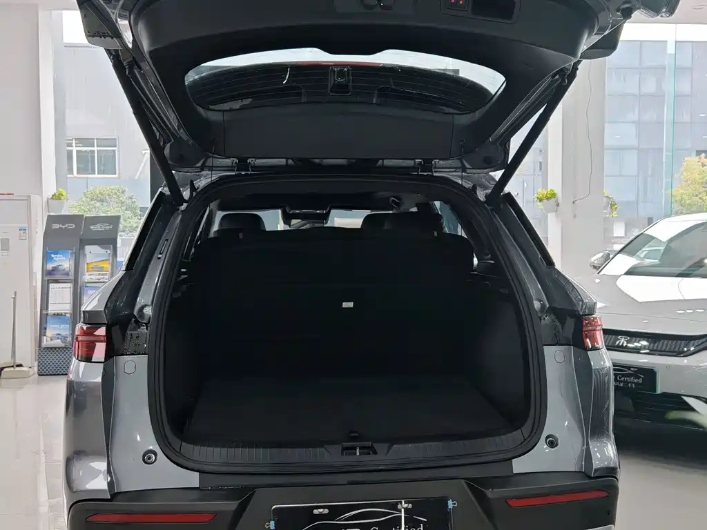 BYD Pro New Energy — фото 9