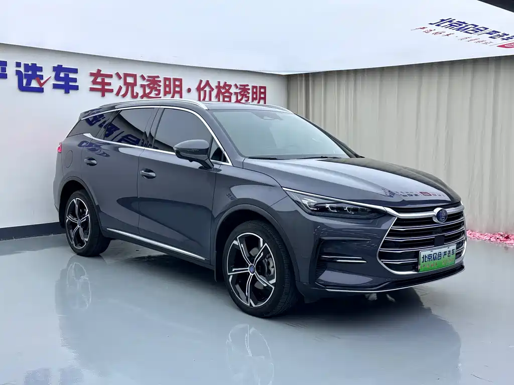 BYD Tang New Energy — фото 2