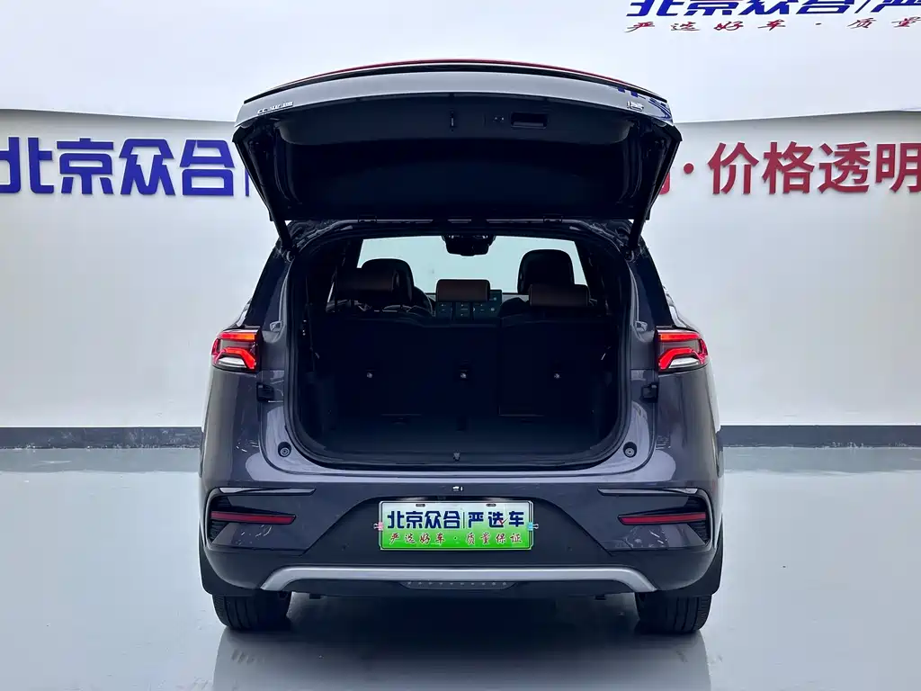 BYD Tang New Energy — фото 22
