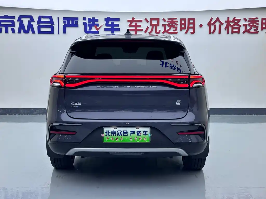 BYD Tang New Energy — фото 23