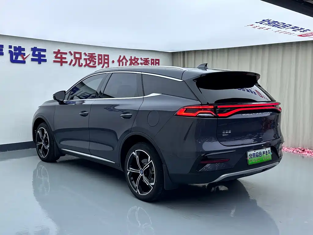 BYD Tang New Energy — фото 24