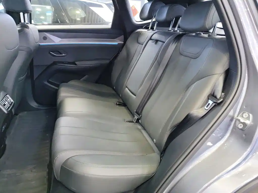 BYD Pro New Energy — фото 13