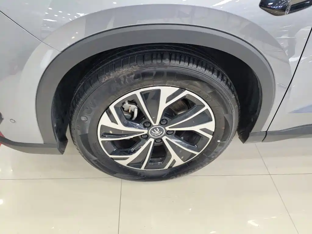 BYD Pro New Energy — фото 25