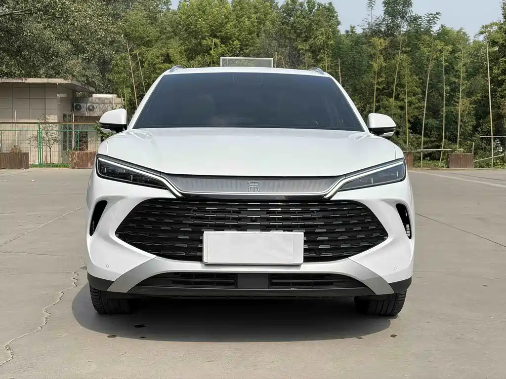 BYD L DM-i — фото 2