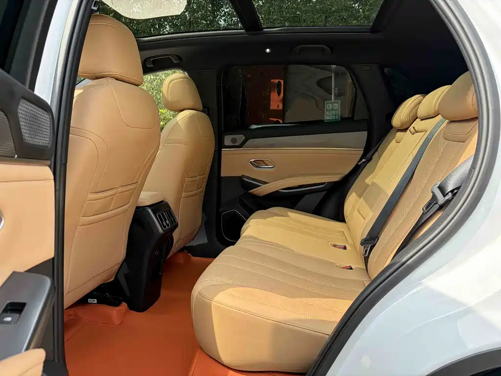 BYD L DM-i — фото 10