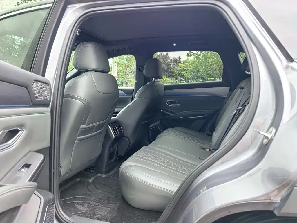 BYD L DM-i — фото 10