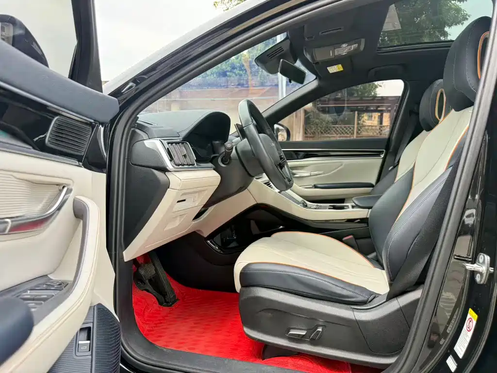 BYD PLUS New Energy — фото 4