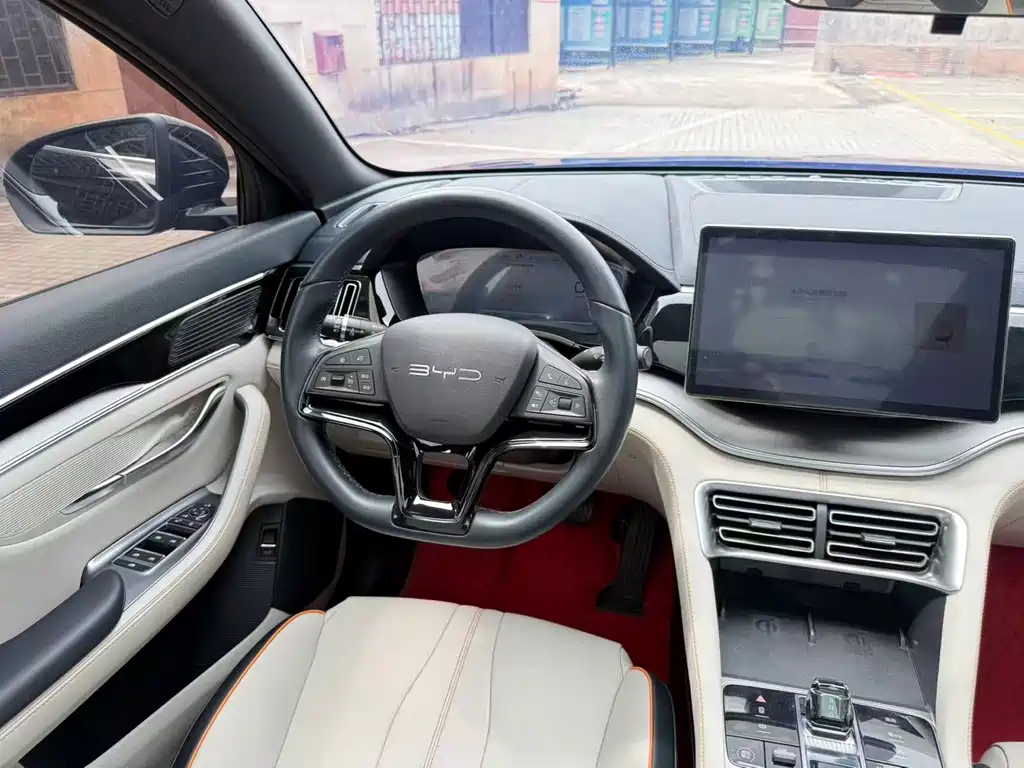 BYD PLUS New Energy — фото 6