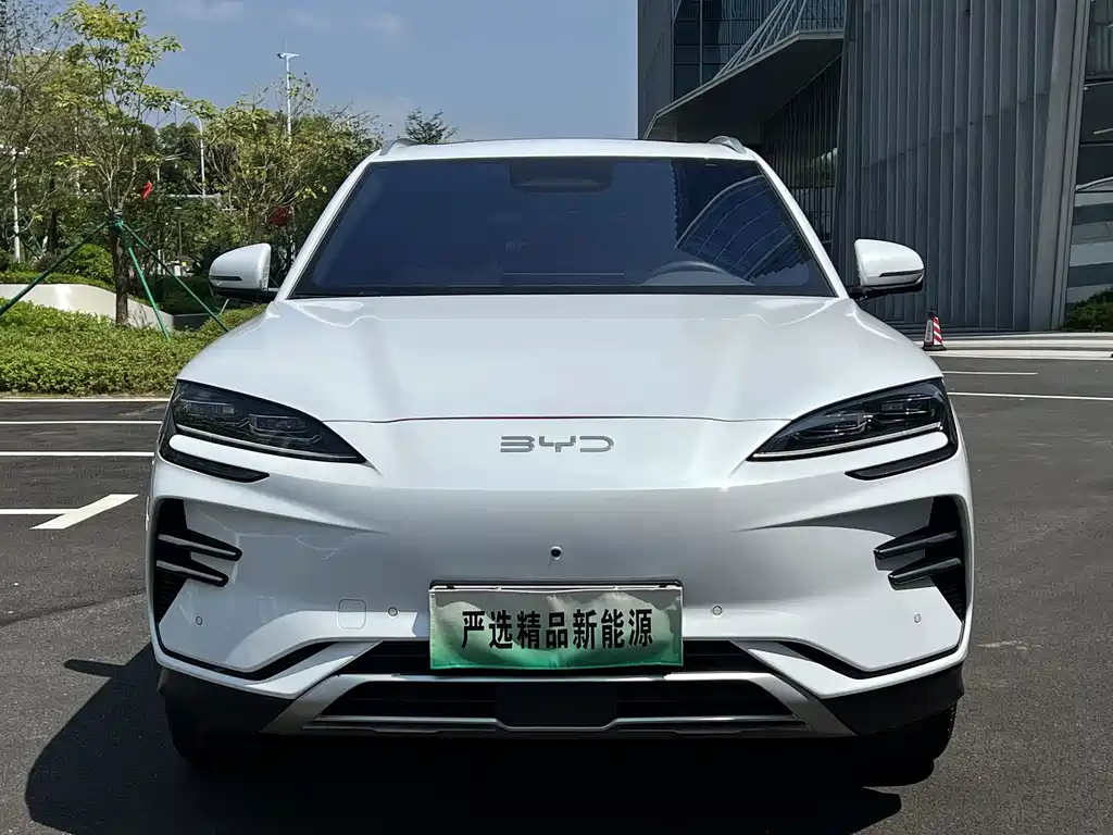 BYD PLUS New Energy — фото 2