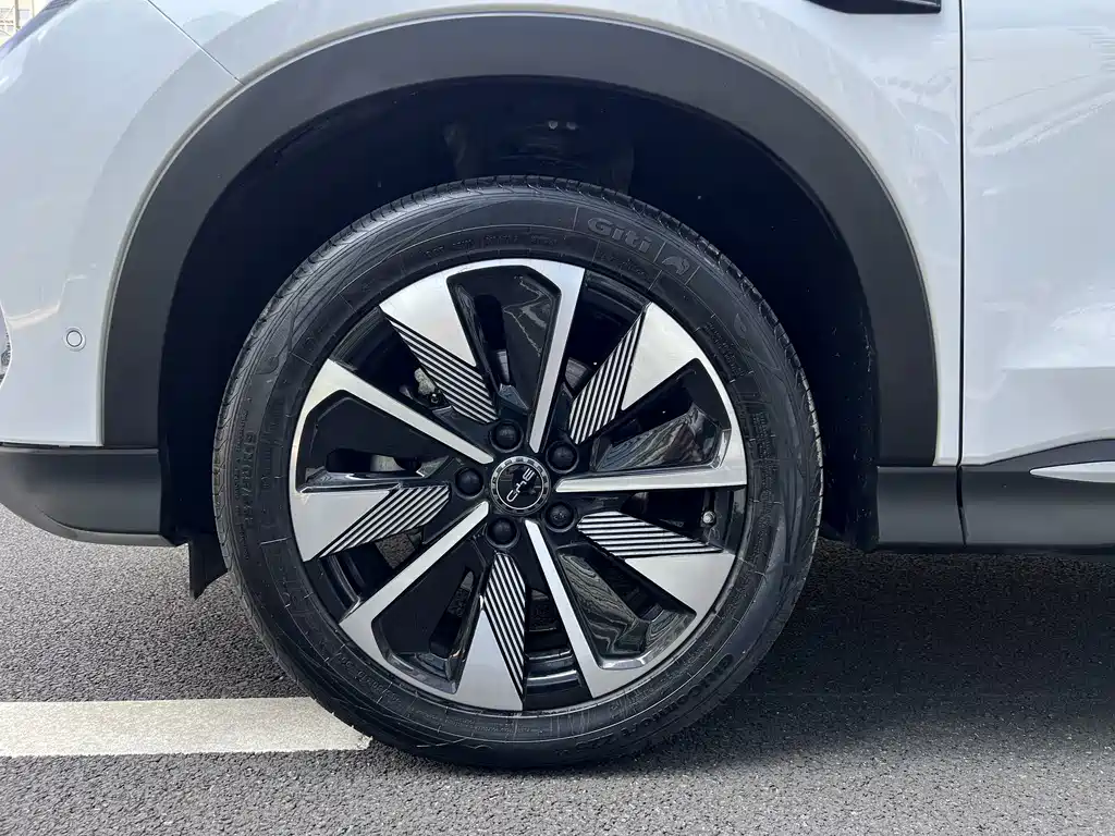 BYD PLUS New Energy — фото 13