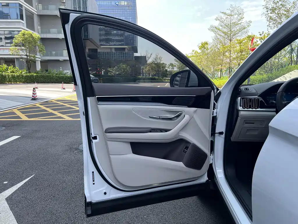 BYD PLUS New Energy — фото 14