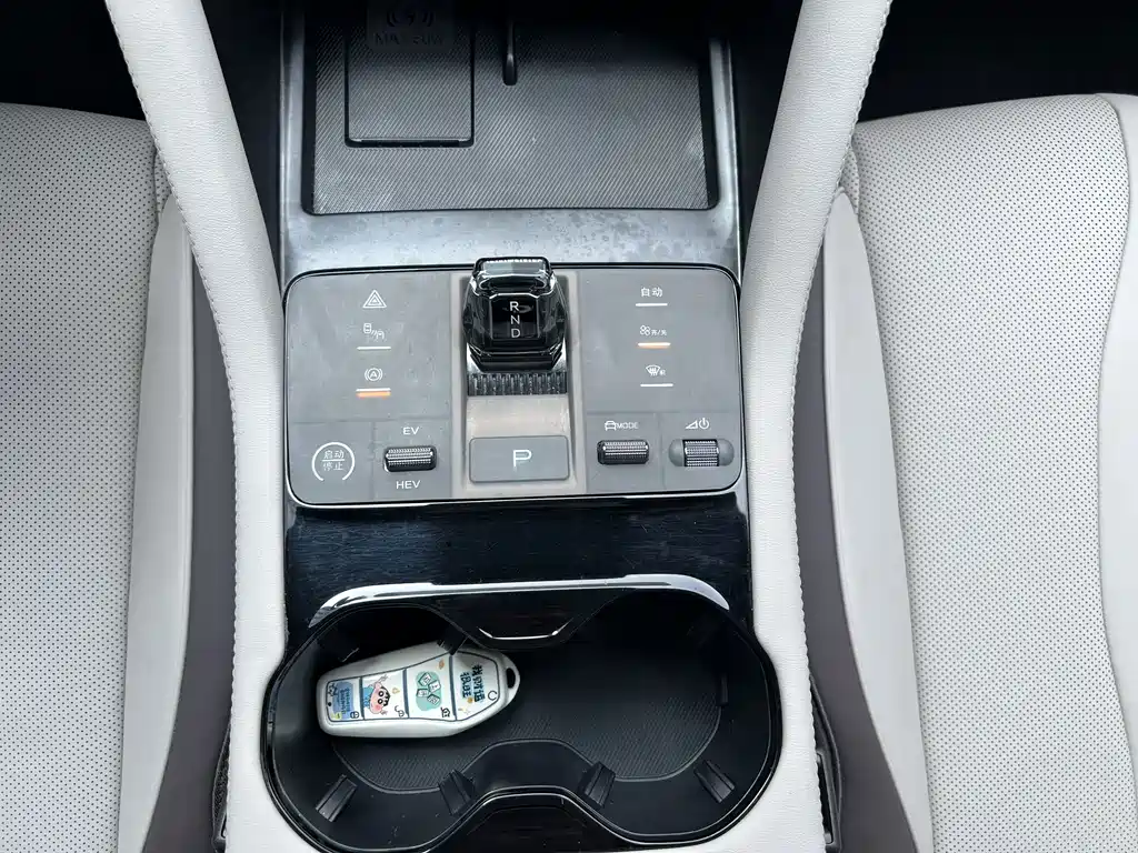BYD PLUS New Energy — фото 18