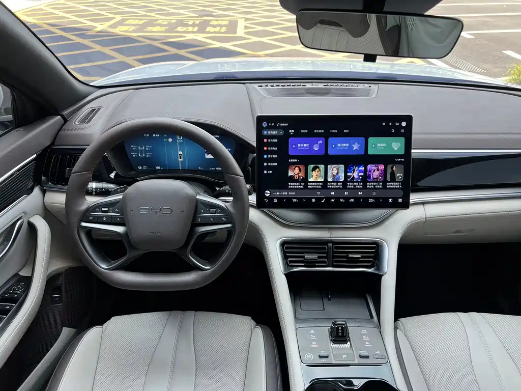 BYD PLUS New Energy — фото 19