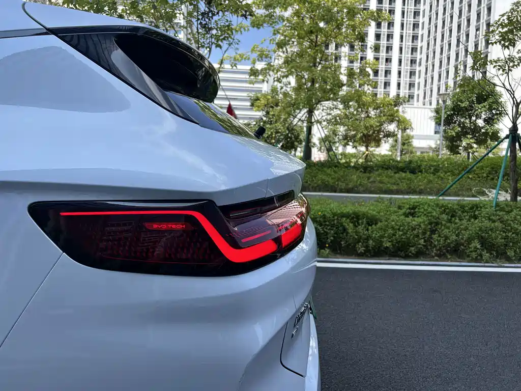 BYD PLUS New Energy — фото 20