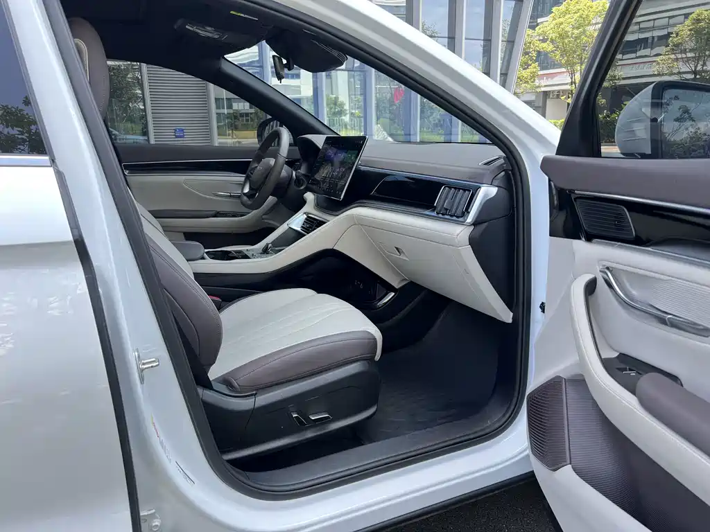 BYD PLUS New Energy — фото 22