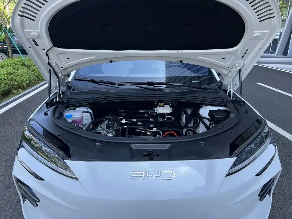 BYD PLUS New Energy — фото 28
