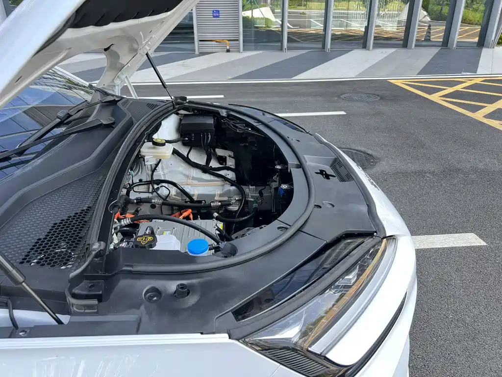 BYD PLUS New Energy — фото 29