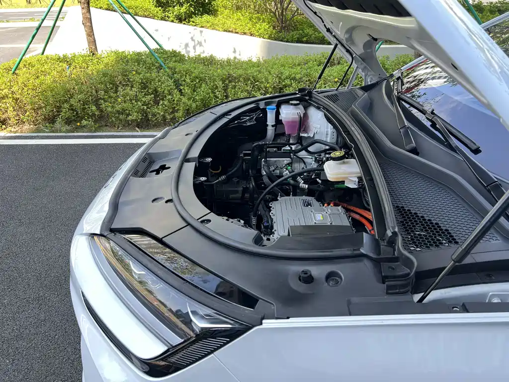 BYD PLUS New Energy — фото 30