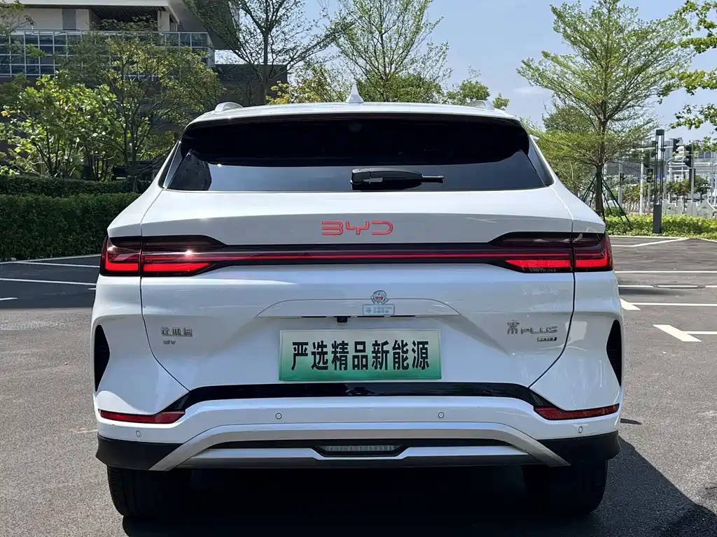 BYD PLUS New Energy — фото 4