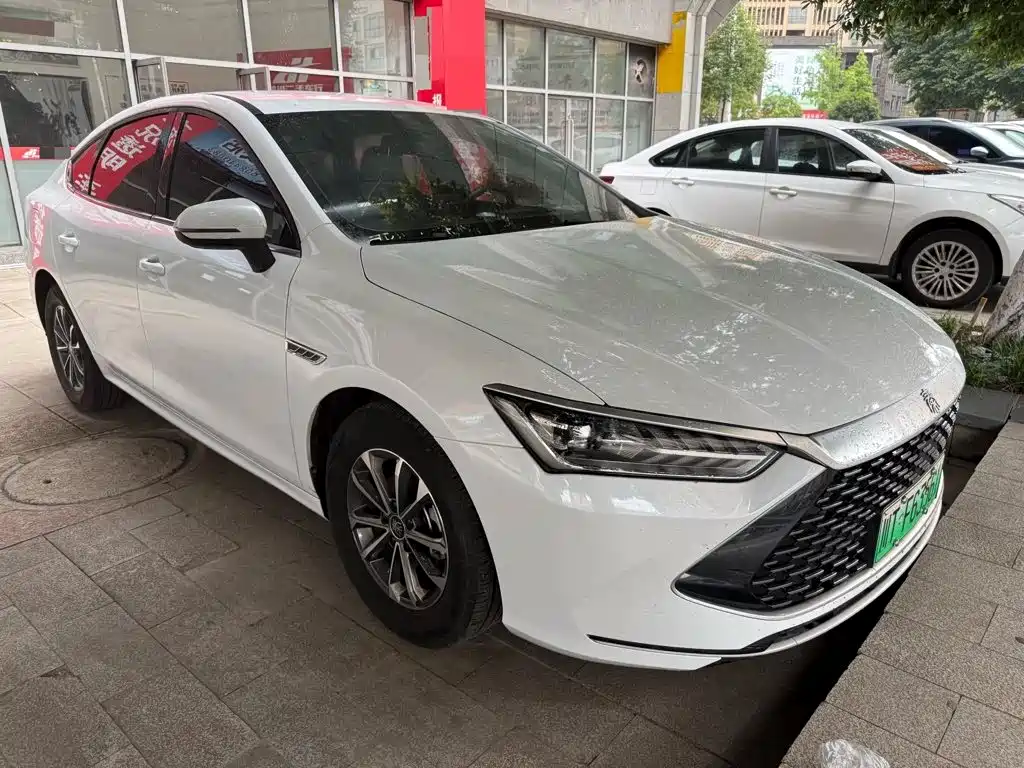 BYD Qin PLUS — фото 3