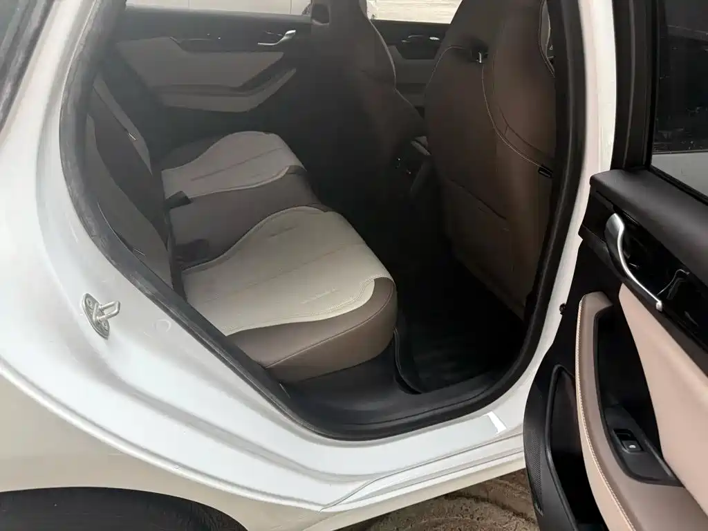 BYD Qin PLUS — фото 10