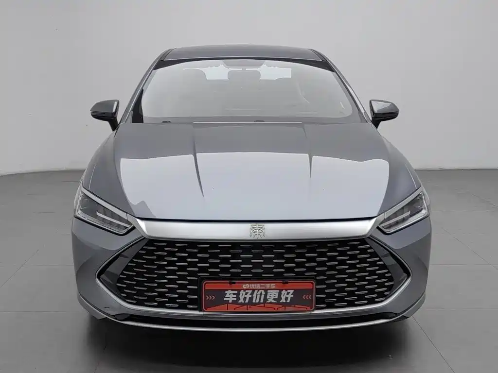 BYD Qin PLUS — фото 3