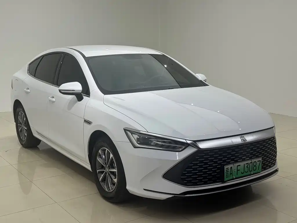 BYD Qin PLUS — фото 3