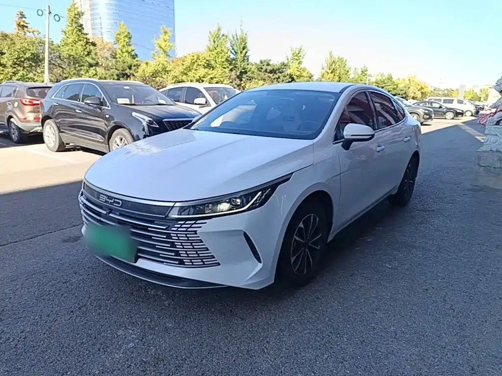 BYD Destroyer 05 — фото 2