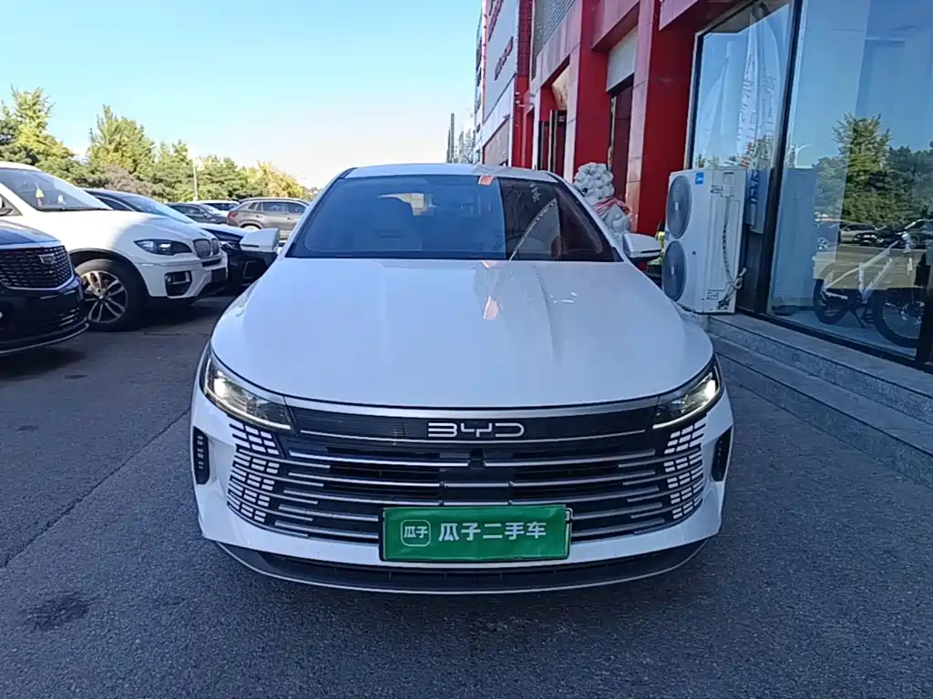 BYD Destroyer 05 — фото 3