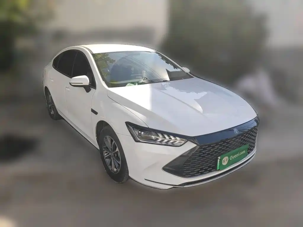 BYD Qin PLUS — фото 3