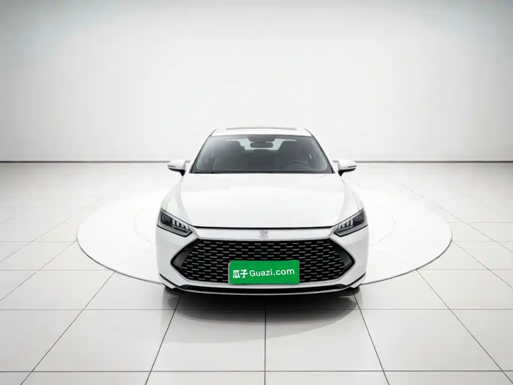 BYD Qin PLUS — фото 2