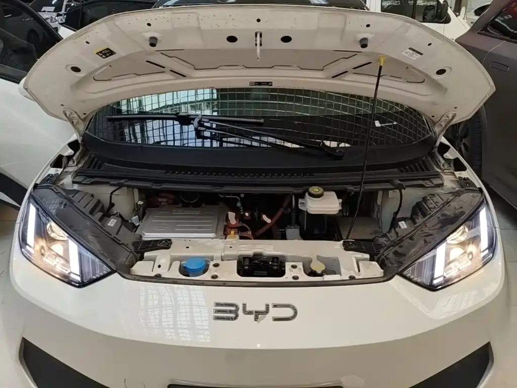 BYD Seagull — фото 20
