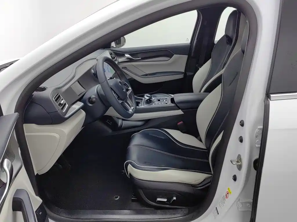 BYD Qin PLUS — фото 10