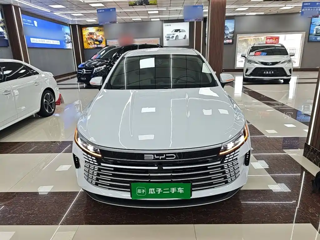 BYD Destroyer 05 — фото 3